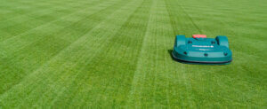 Belrobotics Profi Rasenpflege zum Fixpreis